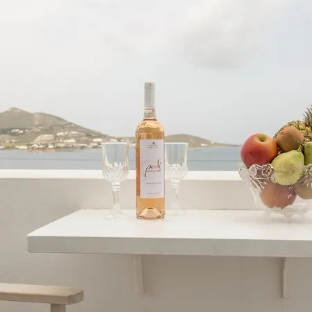 Irini 招待所 纳乌萨